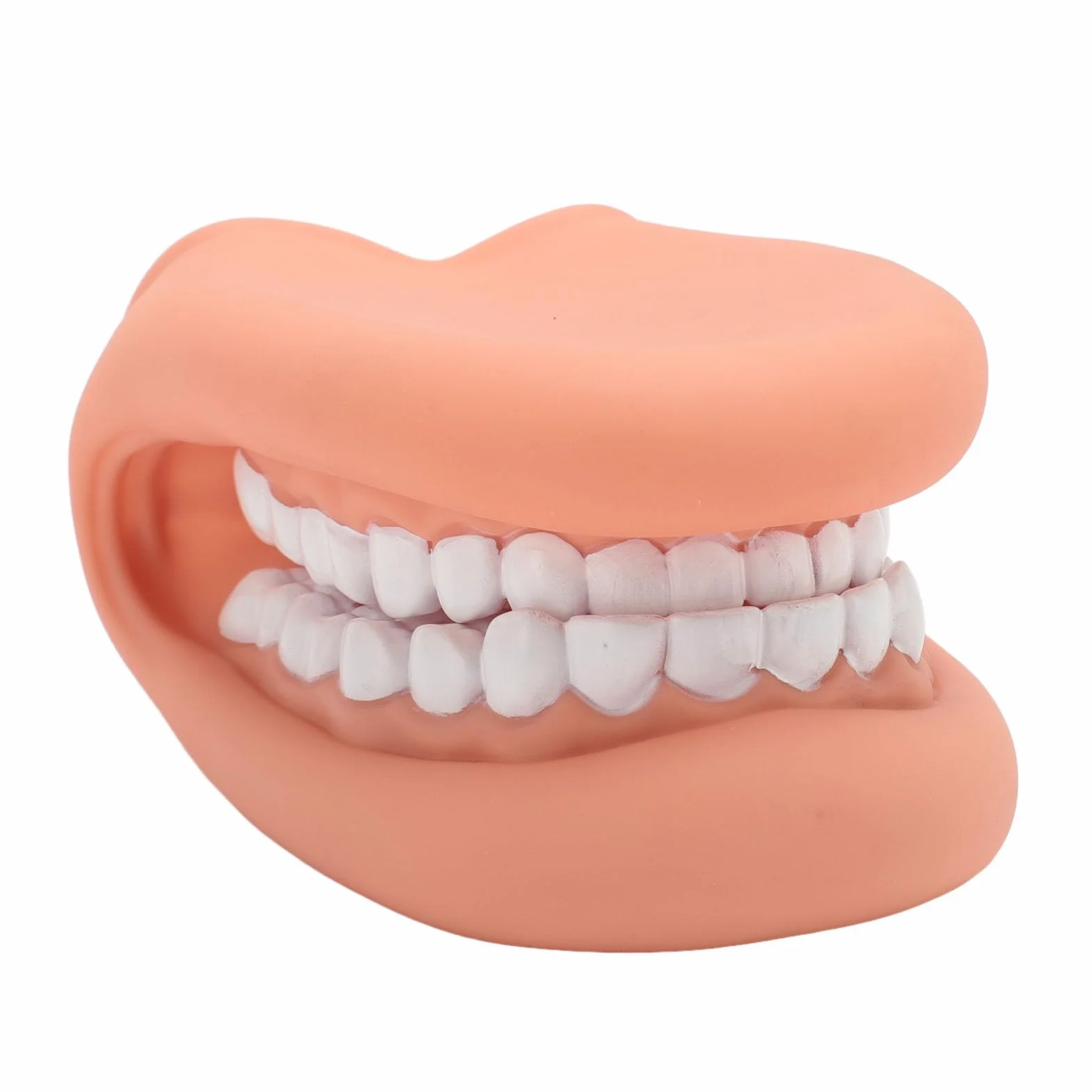 Vikye Pacynka do Ust z Językiem, Miękki Silikonowy Model do Nauczania Zębów dla Dzieci Rozwijający Język, Praktykujący Szczotkowanie Zębów i Jamy Ustnej