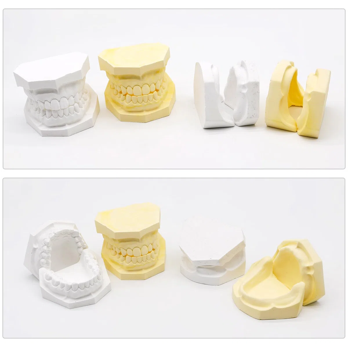 4 szt. Gipsowy model dentystyczny standardowe modele tynków z zębami i bez zębów model dentystyczny do nauki nauczania