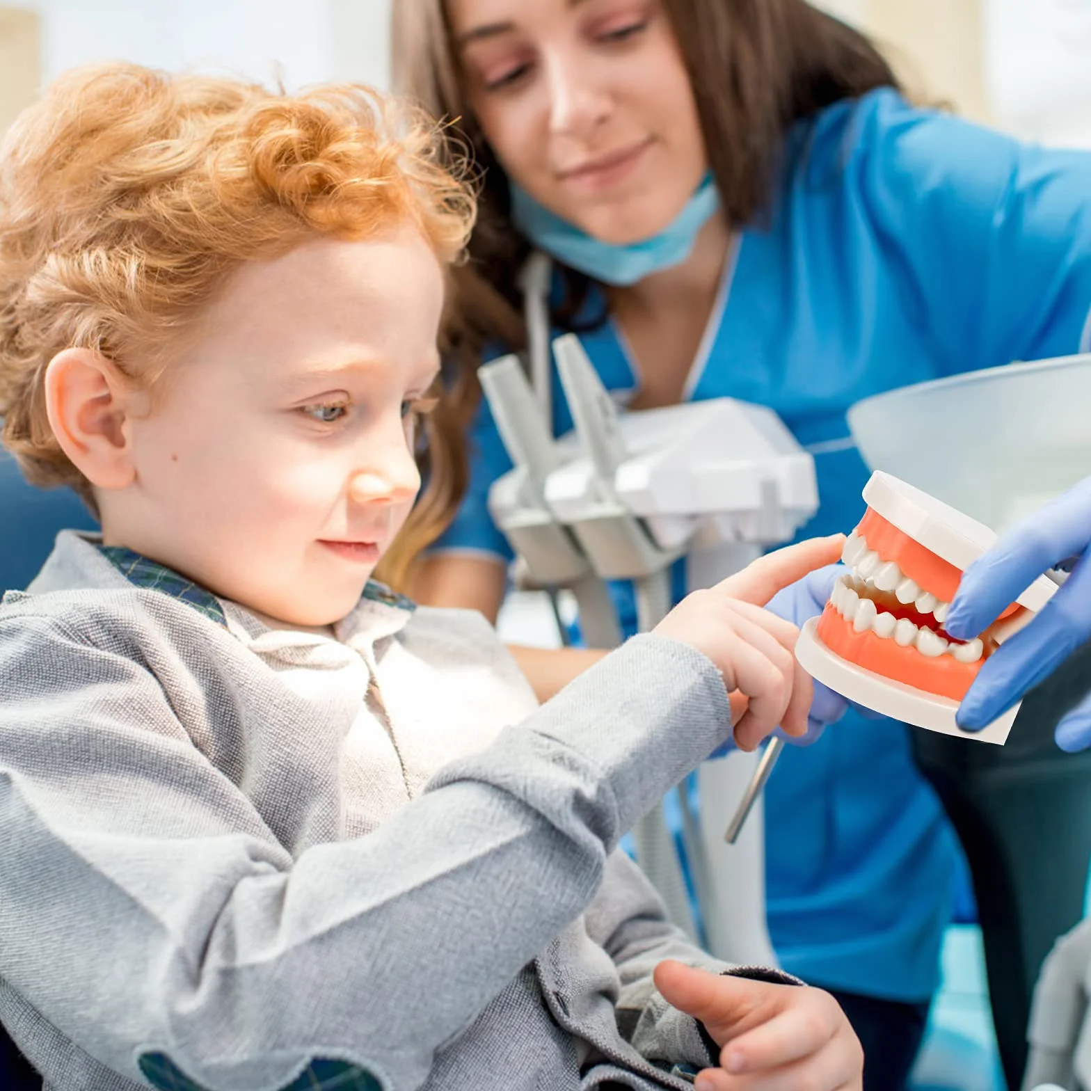Model demonstracyjny zębów, model zębów, model zębów, model dentystyczny, anatomiczny model zębów do nauczania zębów lub pielęgnacji jamy ustnej, 2 szt