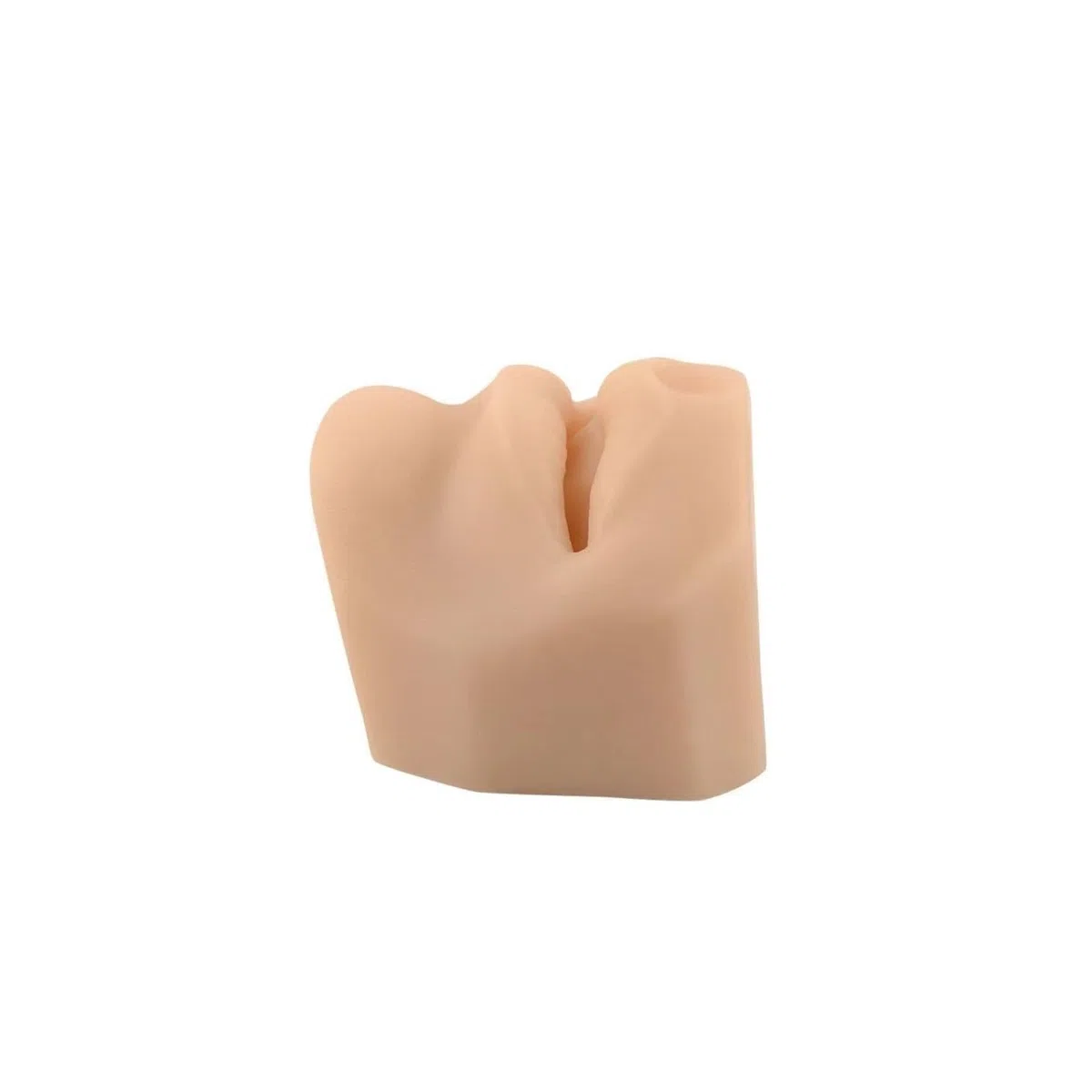 Snake Bite Mouth Piercing Model Silikonowe usta do przekłuwania i amp;szew & amp;Praktyka technik iniekcji