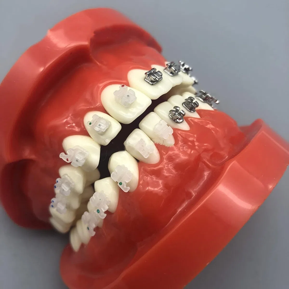Model Dentystyczny Duplikat Formy, Model Ortodoncji, Model Dentystyczny Cztery Modele Porównawcze Zamków, Trwały Model Standardowy Badania Nauczania Dla Laboratorium