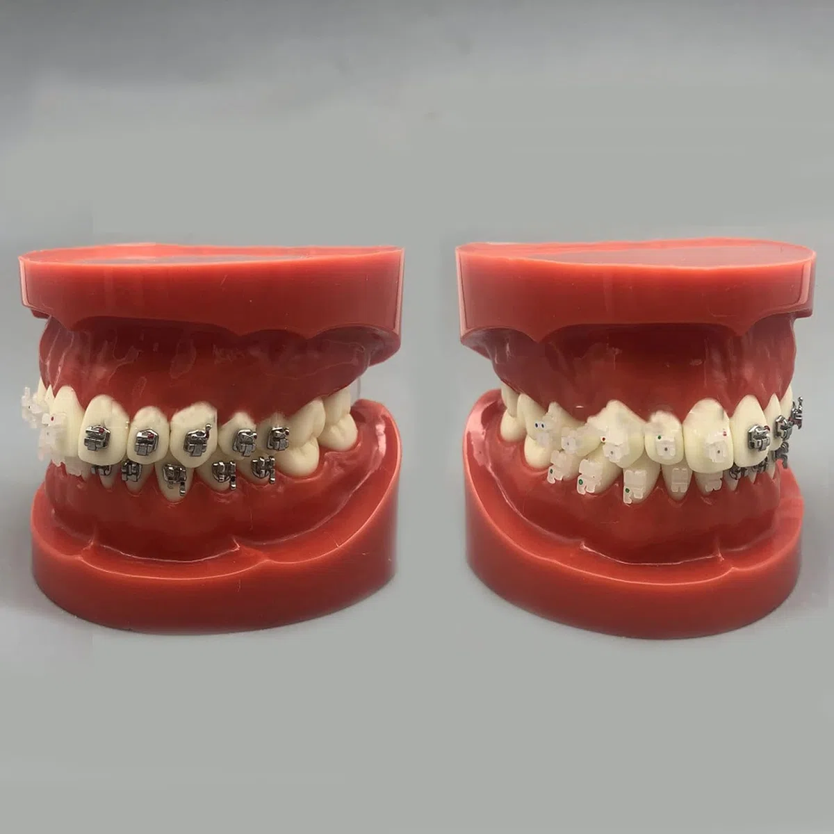Model Dentystyczny Duplikat Formy, Model Ortodoncji, Model Dentystyczny Cztery Modele Porównawcze Zamków, Trwały Model Standardowy Badania Nauczania Dla Laboratorium