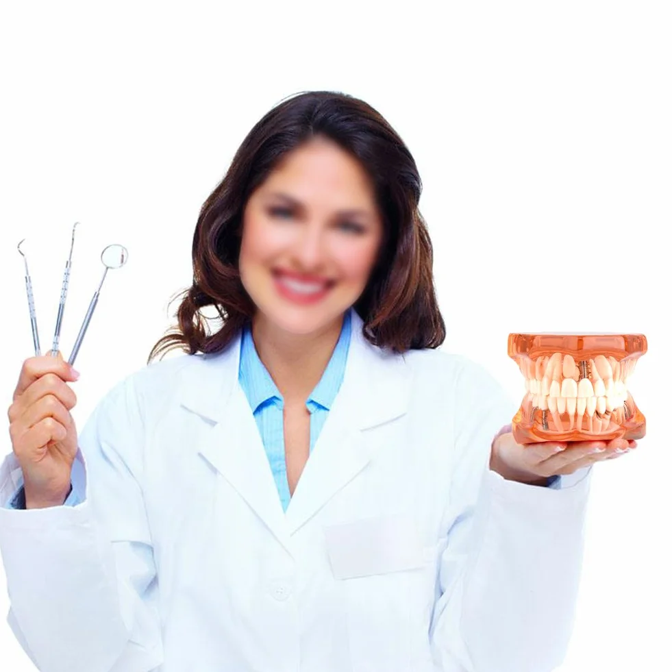 Model zęba Model dentystyczny, zdejmowany model nauczania implantów dentystycznych Narzędzie demonstracyjne dentysty do nauki w szkole dentystycznej (pomarańczowy)