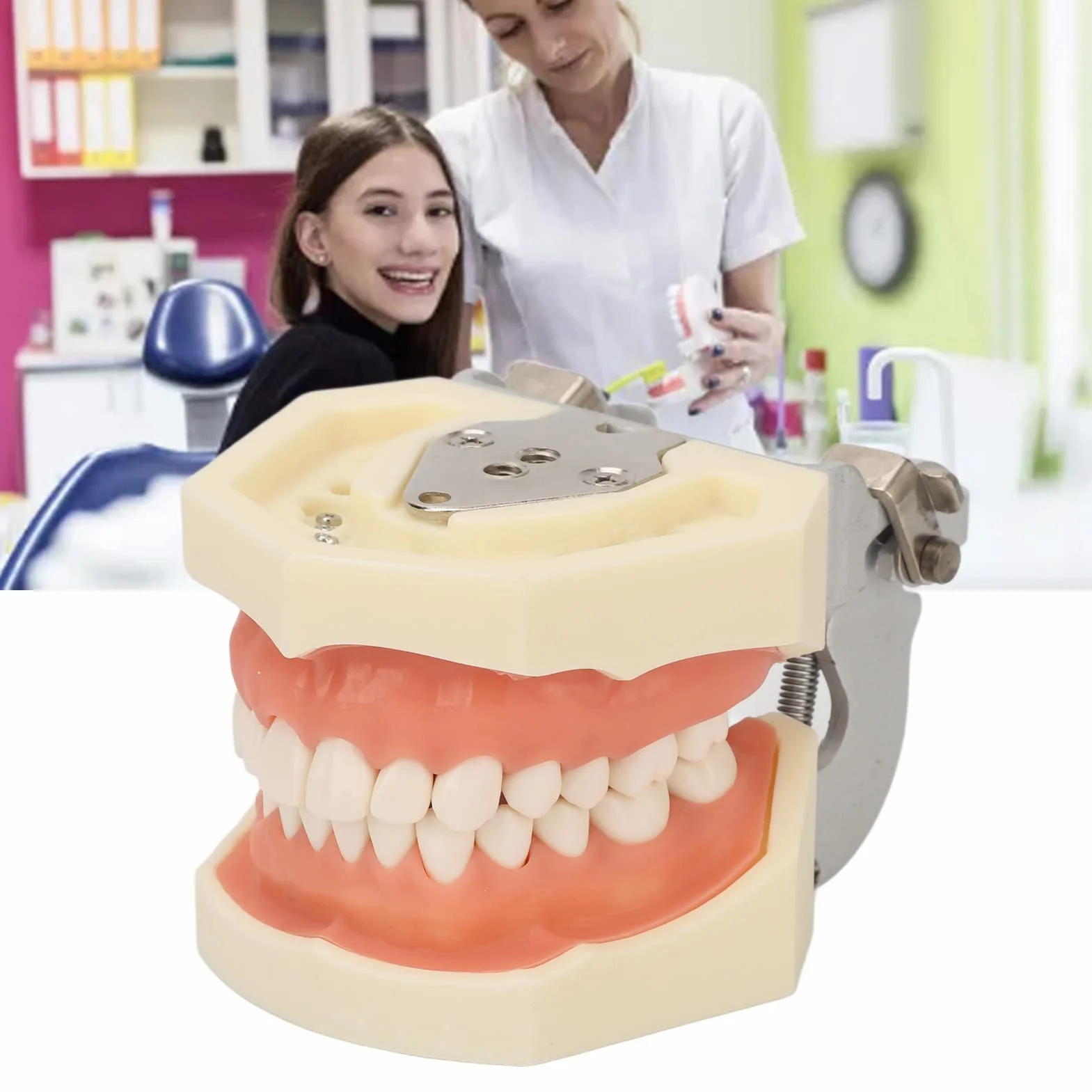 Model dentystyczny torbieli szczękowej, model dentystyczny torbieli szczękowej, 28 zębów, miękka torbiel dziąseł, model nauczania do ćwiczenia ropnia nacięcia