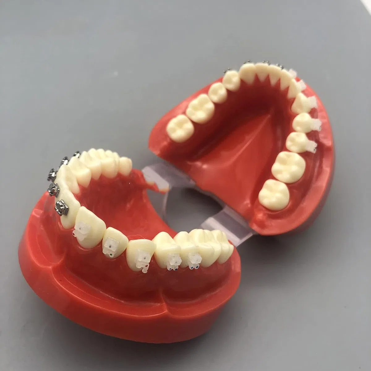 Model Dentystyczny Duplikat Formy, Model Ortodoncji, Model Dentystyczny Cztery Modele Porównawcze Zamków, Trwały Model Standardowy Badania Nauczania Dla Laboratorium
