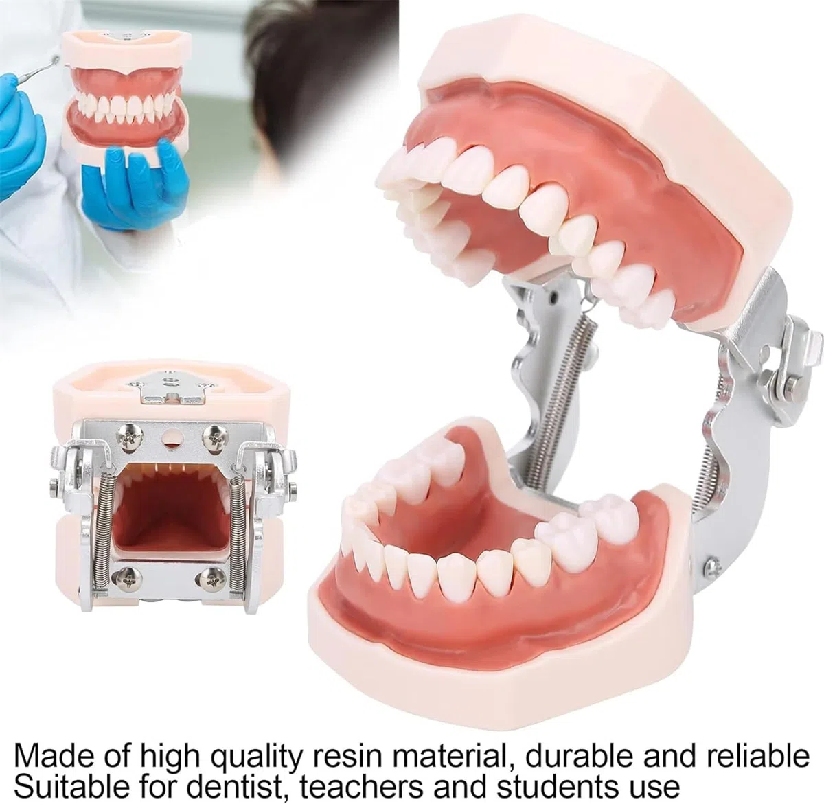 Odłączany model zębów, symulacyjny model zębów dentystycznych, materiały edukacyjne do praktyki dydaktycznej, narzędzie do demonstracji dentystycznej, w zestawie śrubokręt