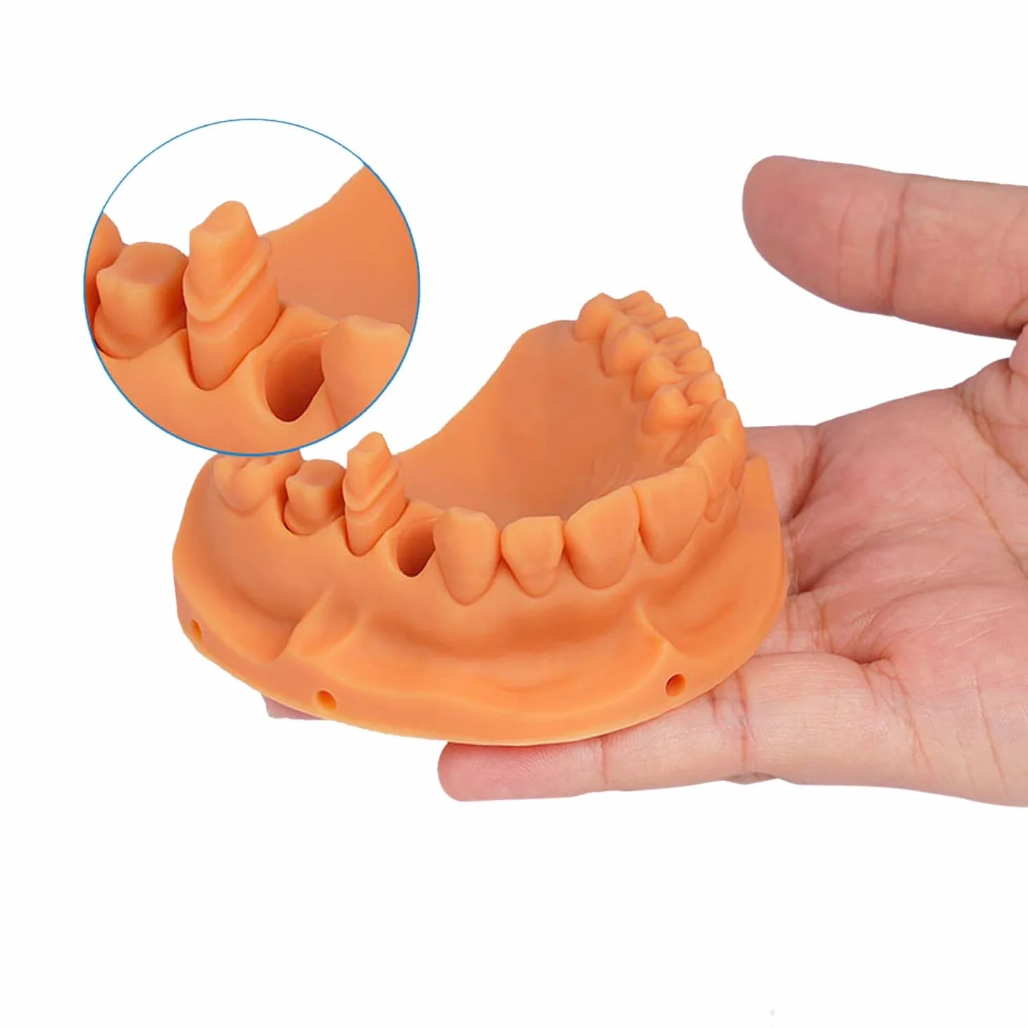 JAMG HE Żywica do drukarki 3D Dental Pro, model z żywicą tyczną, modelem korony i mostka, modelem ortodontycznym, modelem implantu itp. (Water Washable, Light Grey, 500g)