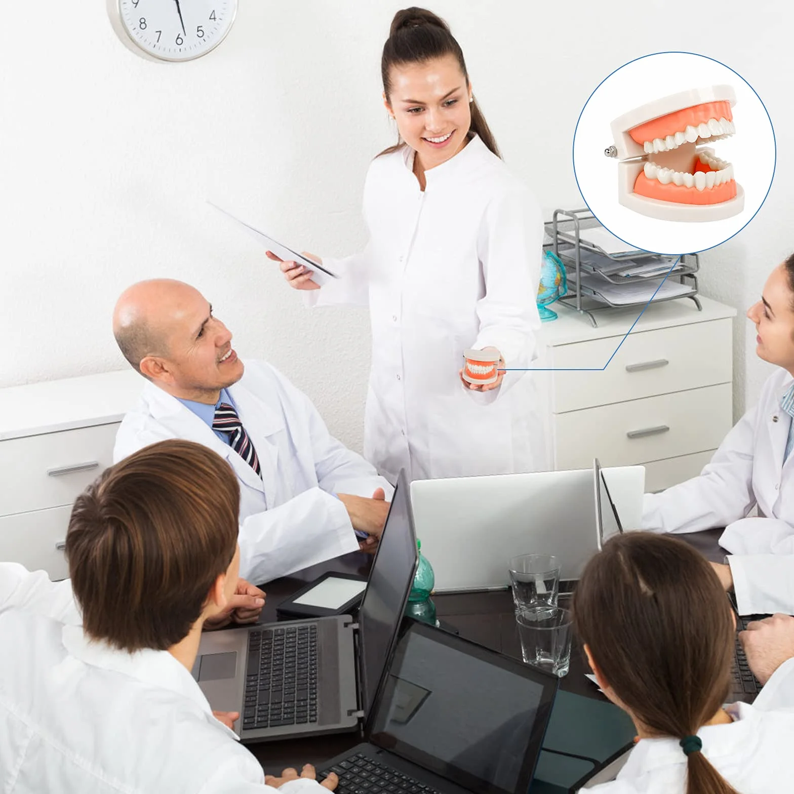 Model demonstracyjny zębów, model zębów, model zębów, model dentystyczny, anatomiczny model zębów do nauczania zębów lub pielęgnacji jamy ustnej, 2 szt
